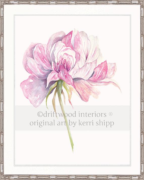 Rose Flower Print - Overblown Rose I