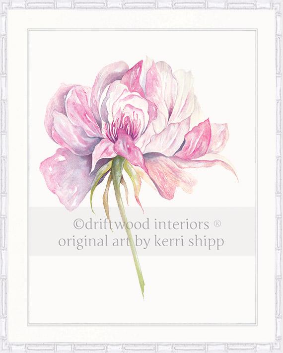 Rose Flower Print - Overblown Rose I