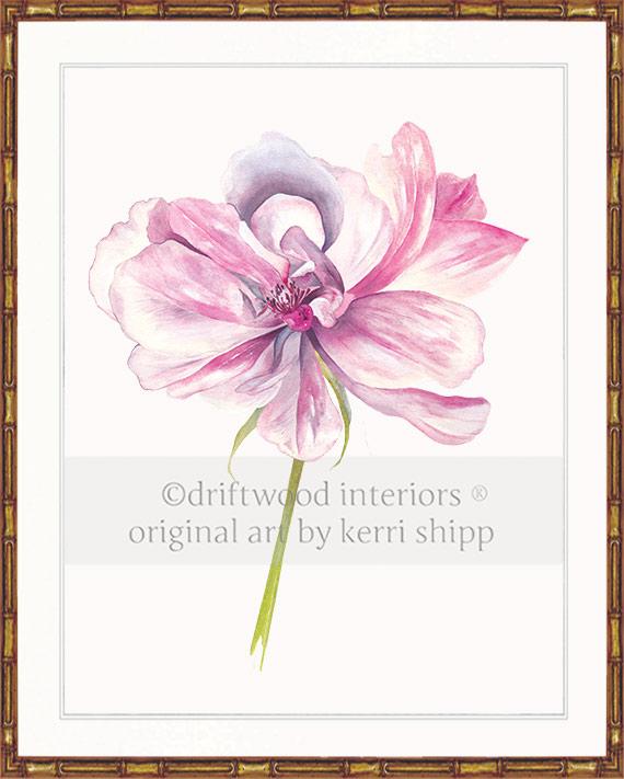 Rose Flower Print - Overblown Rose II
