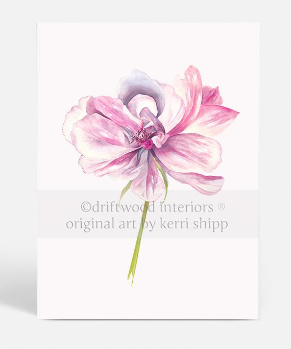 Rose Flower Print - Overblown Rose II