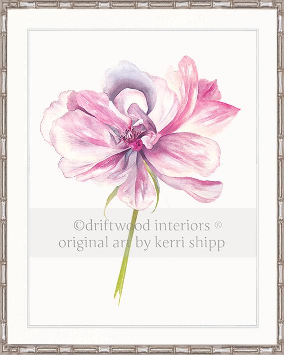 Rose Flower Print - Overblown Rose II