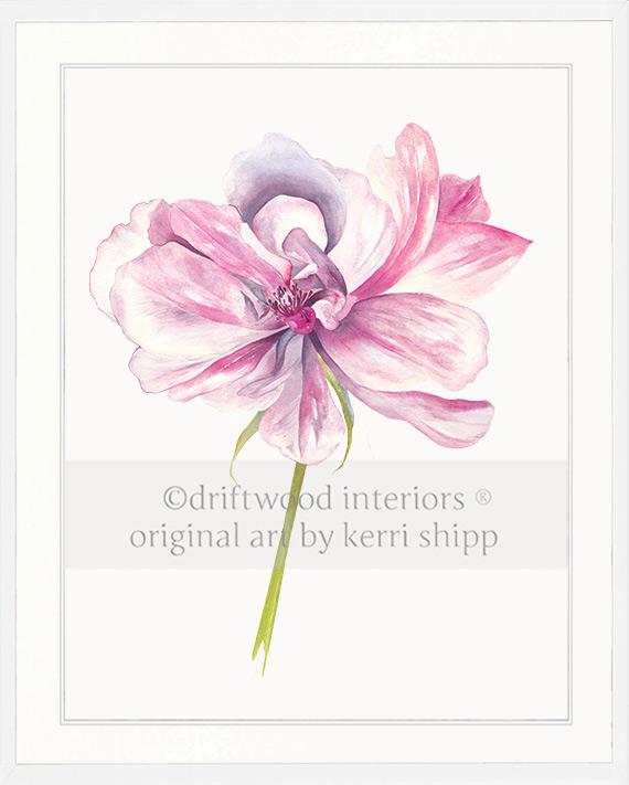 Rose Flower Print - Overblown Rose II