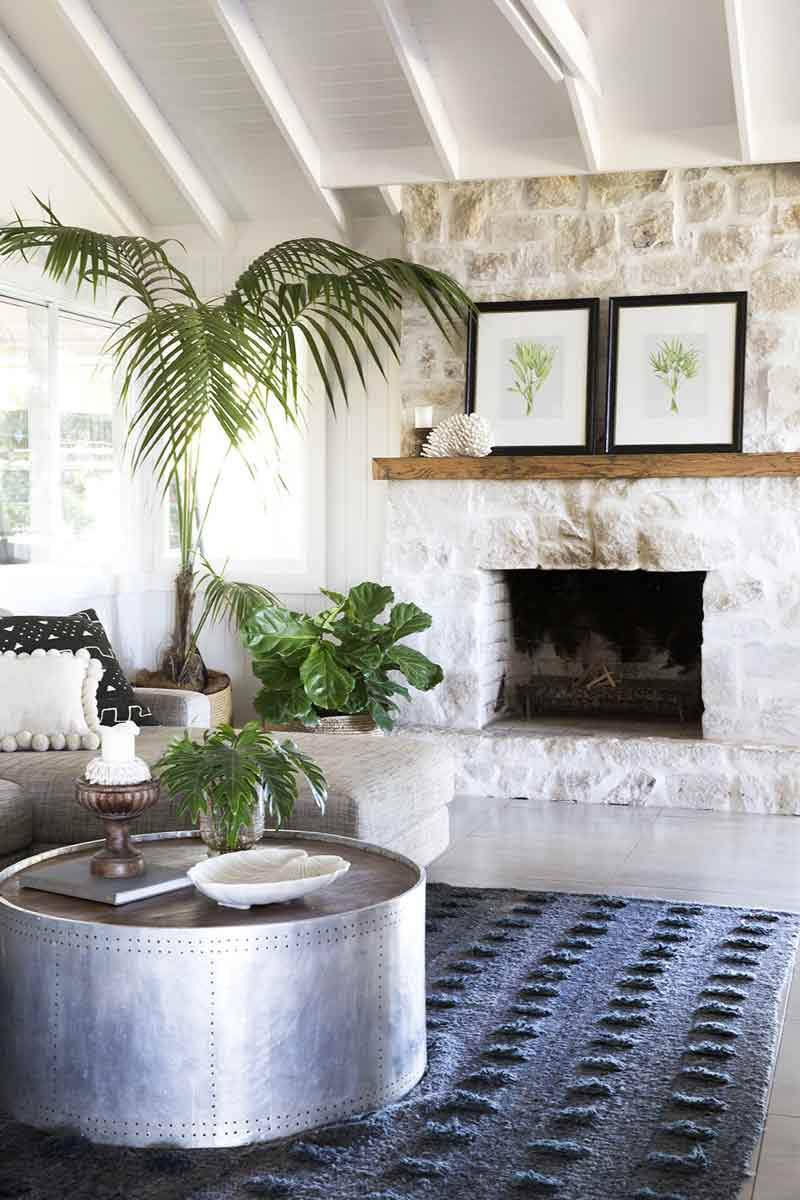 Palm Tree I - Driftwood Interiors
