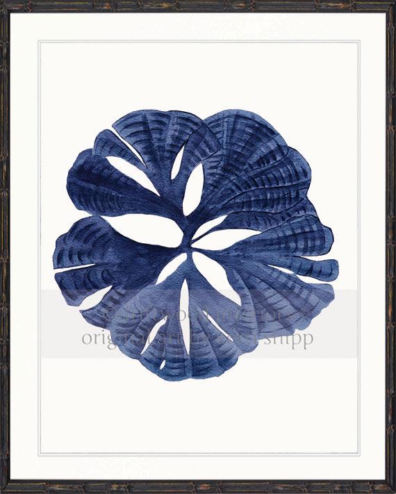 Coral Wall Art Print - Fan Coral I in Denim