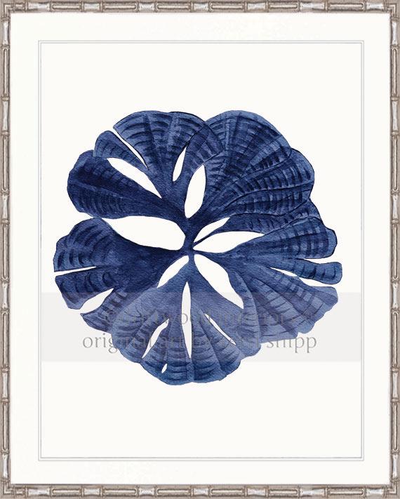 Coral Wall Art Print - Fan Coral I in Denim