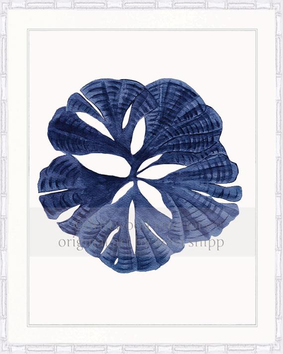 Coral Wall Art Print - Fan Coral I in Denim