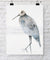 Sandpiper Bird Print - Driftwood Interiors