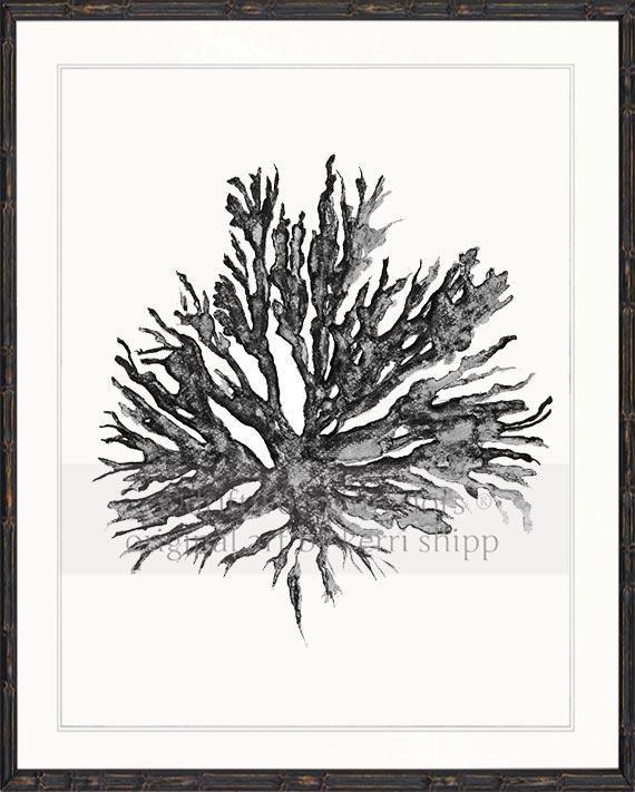 Sea Coral II in Charcoal - Driftwood Interiors