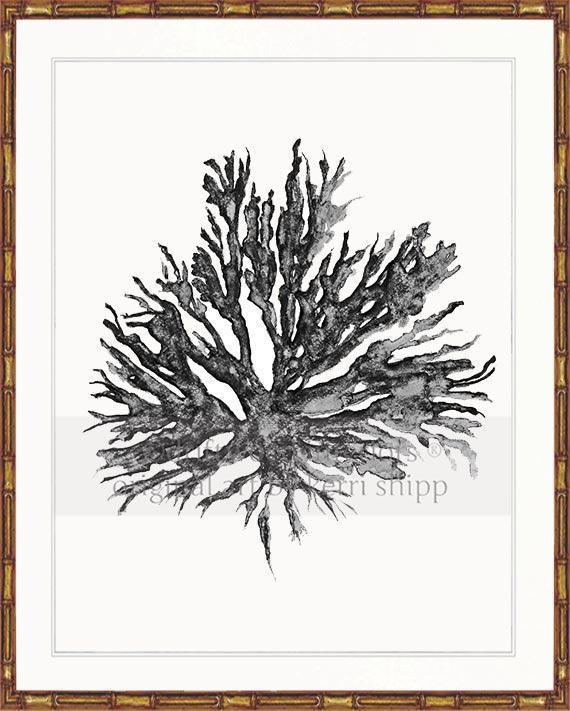 Sea Coral II in Charcoal - Driftwood Interiors