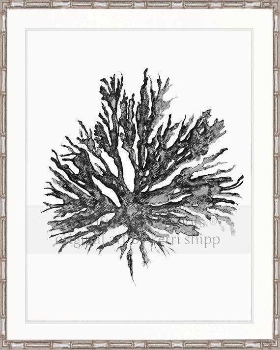 Sea Coral II in Charcoal - Driftwood Interiors