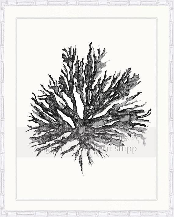 Sea Coral II in Charcoal - Driftwood Interiors
