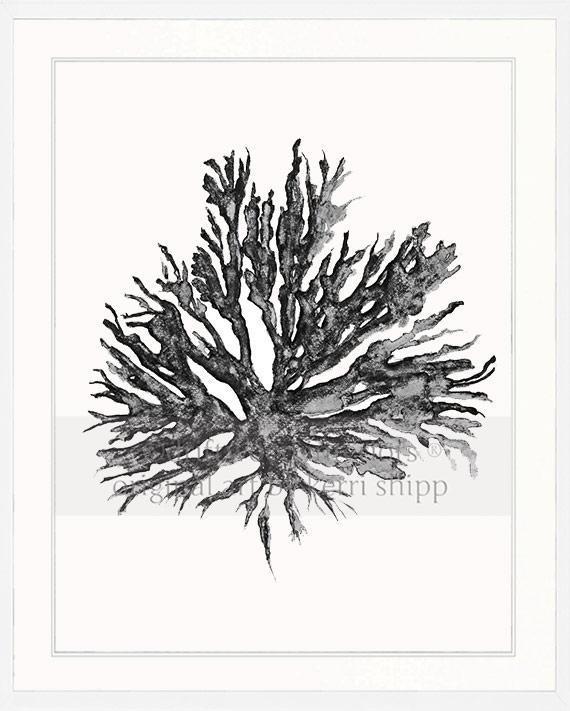 Sea Coral II in Charcoal - Driftwood Interiors