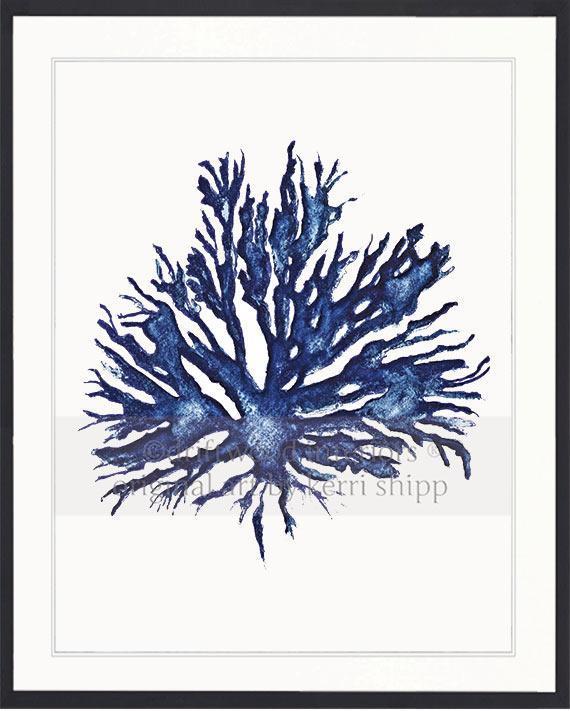 Sea Coral II in Denim - Driftwood Interiors
