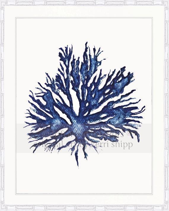 Sea Coral II in Denim - Driftwood Interiors