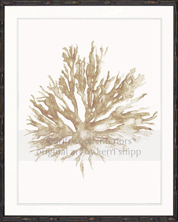 Sea Coral II in Natural