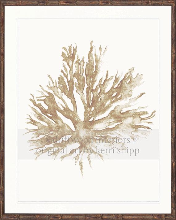 Sea Coral II in Natural