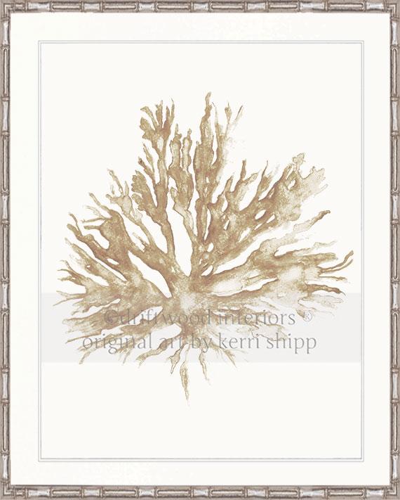 Sea Coral II in Natural