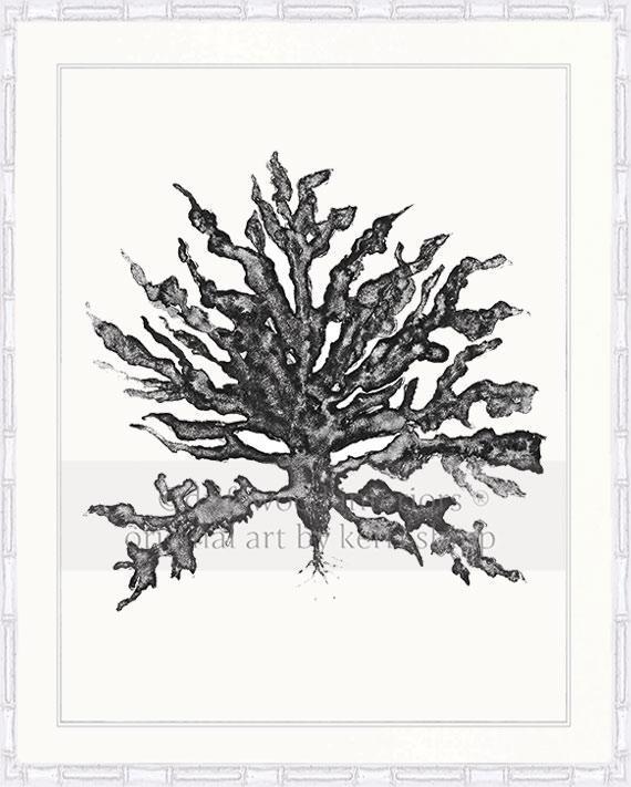 Sea Coral III in Charcoal - Driftwood Interiors