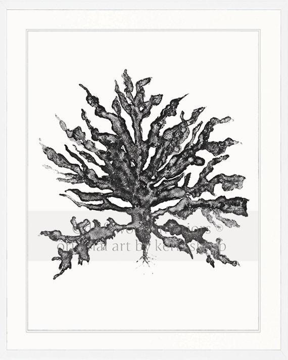 Sea Coral III in Charcoal - Driftwood Interiors