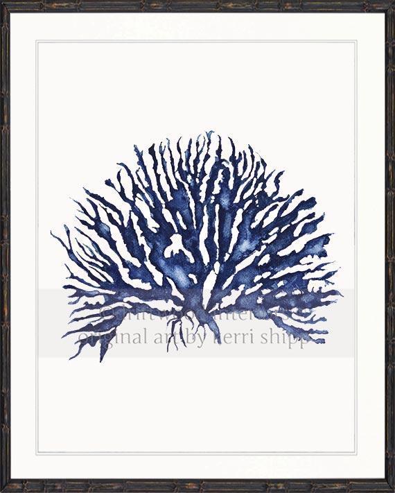 Blue Coral Wall Art Print - Hampton Style Art in Black Bamboo Frame - Driftwood Interiors