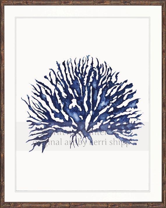 Blue Coral Wall Art Print - Hampton Style Art in Brown Bamboo Frame - Driftwood Interiors