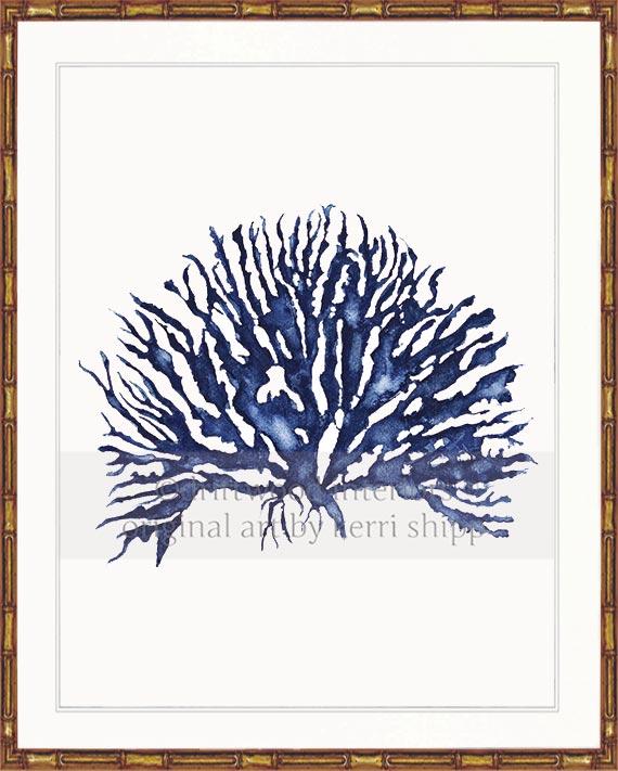 Blue Coral Wall Art Print - Hampton Style Art in Gold Bamboo Frame - Driftwood Interiors