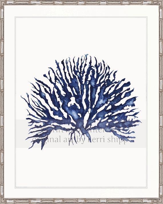 Blue Coral Wall Art Print - Hampton Style Art in Silver Bamboo Frame - Driftwood Interiors
