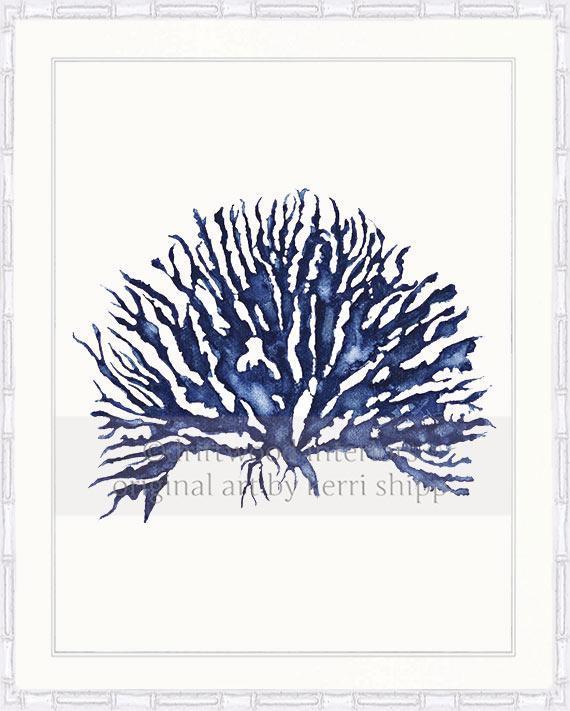 Blue Coral Wall Art Print - Hampton Style Art in White Bamboo Frame - Driftwood Interiors