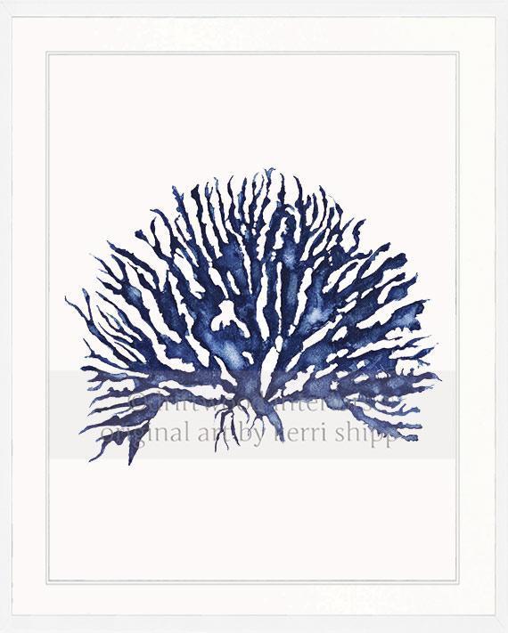 Blue Coral Wall Art Print - Hampton Style Art in White Timber Frame - Driftwood Interiors