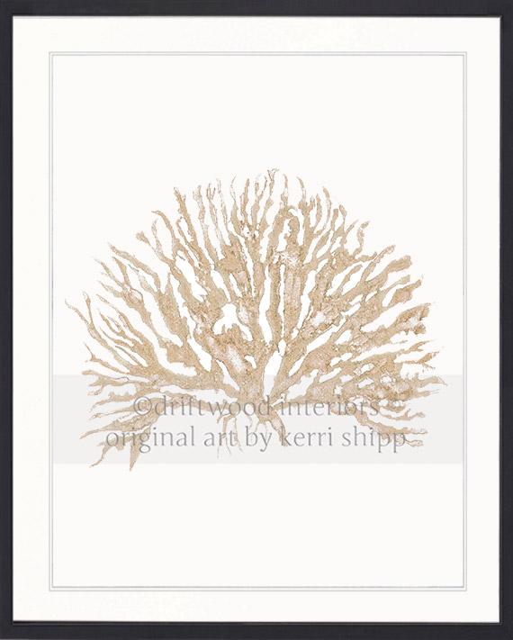 Sea Coral IV in Natural