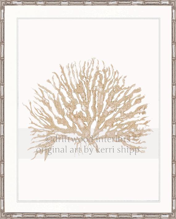 Sea Coral IV in Natural