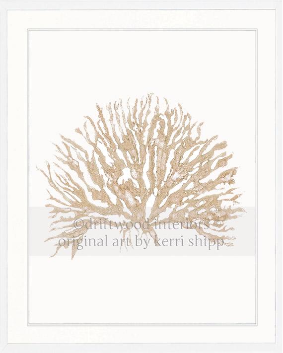 Sea Coral IV in Natural