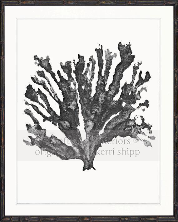 Sea Coral in Charcoal - Driftwood Interiors