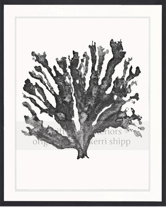 Sea Coral in Charcoal - Driftwood Interiors