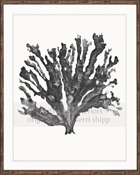 Sea Coral in Charcoal - Driftwood Interiors