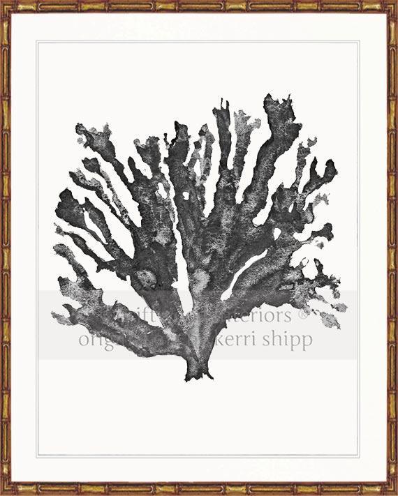 Sea Coral in Charcoal - Driftwood Interiors