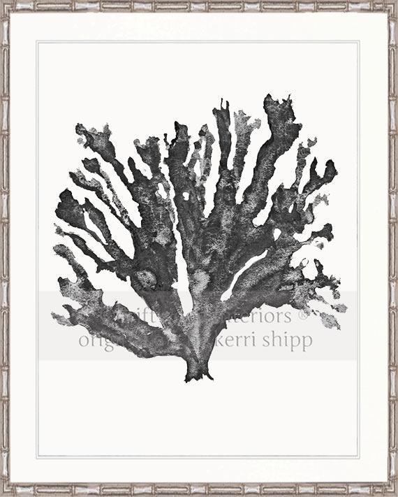 Sea Coral in Charcoal - Driftwood Interiors