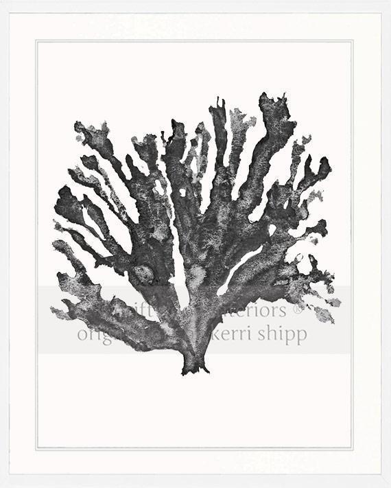 Sea Coral in Charcoal - Driftwood Interiors