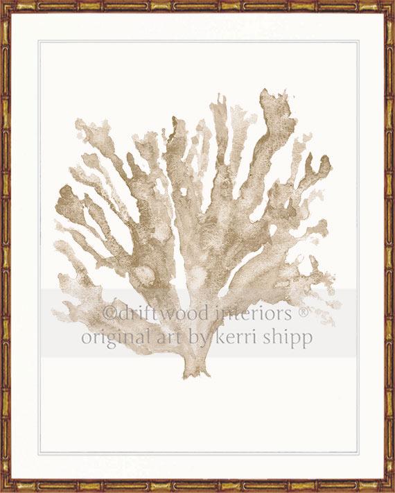 Sea Coral in Natural