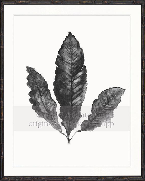 Sea Fan II in Charcoal - Driftwood Interiors