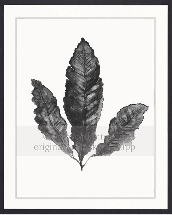 Sea Fan II in Charcoal - Driftwood Interiors