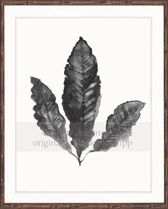 Sea Fan II in Charcoal - Driftwood Interiors