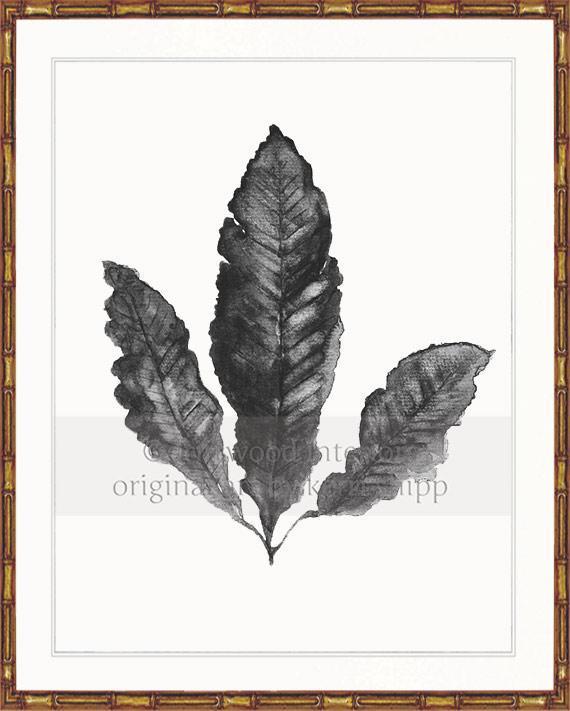 Sea Fan II in Charcoal - Driftwood Interiors