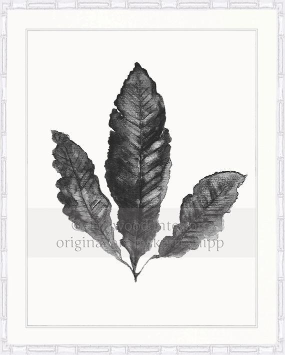 Sea Fan II in Charcoal - Driftwood Interiors