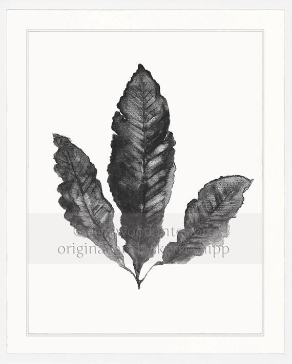 Sea Fan II in Charcoal - Driftwood Interiors