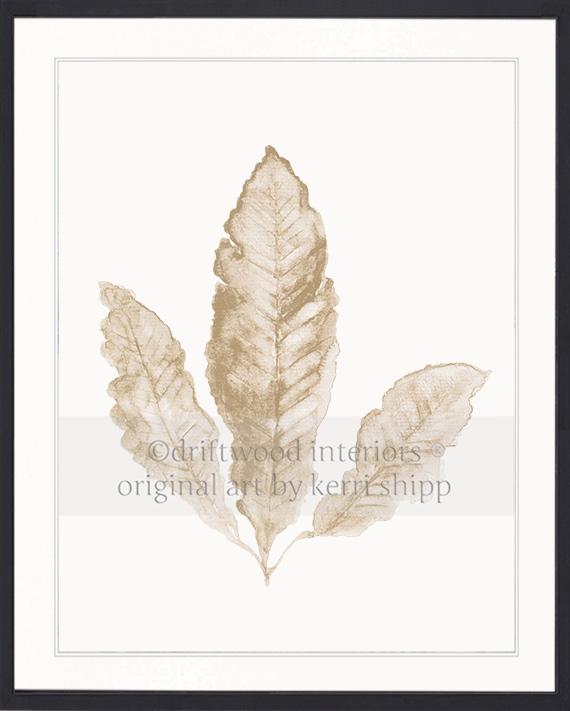 Sea Fan II in Natural