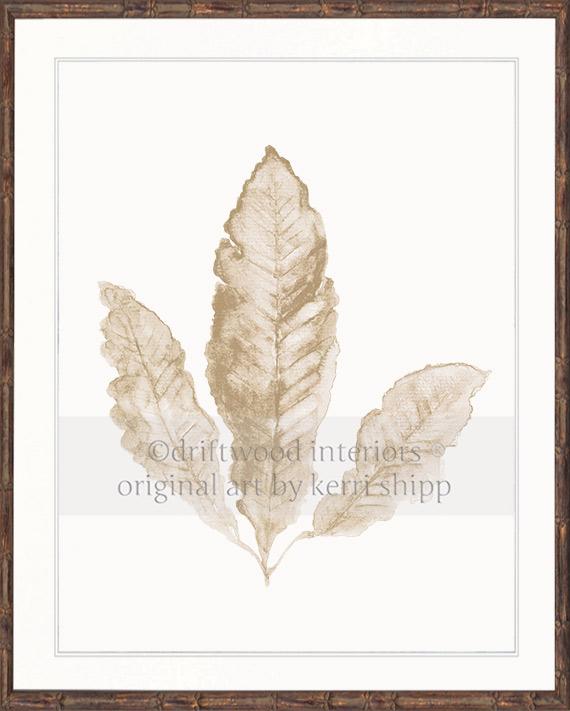 Sea Fan II in Natural