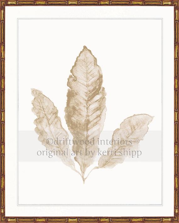 Sea Fan II in Natural