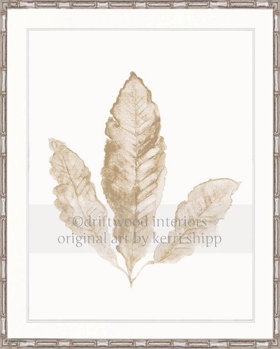 Sea Fan II in Natural