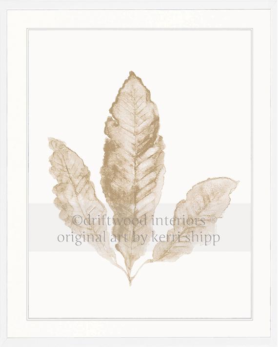 Sea Fan II in Natural